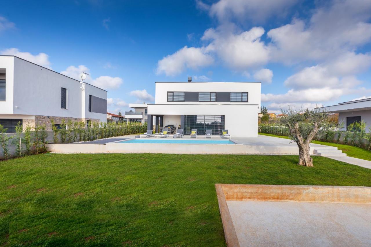 Amazing Private Villa With Outdoor Swimming Pool In Vodnjan Eksteriør billede